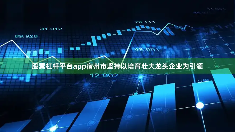 股票杠杆平台app宿州市坚持以培育壮大龙头企业为引领